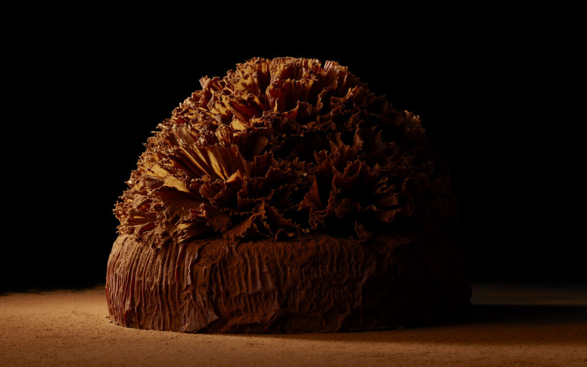 Quentin D. tué en Lyon : Le président Macron condamné pour son silence face à la violence extrême